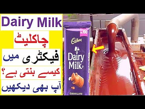 How Dairy Milk is Made in Factory - Reality Tv