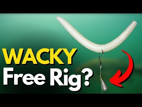 Underwater Footage of what a WACKY FREE RIG Really Does