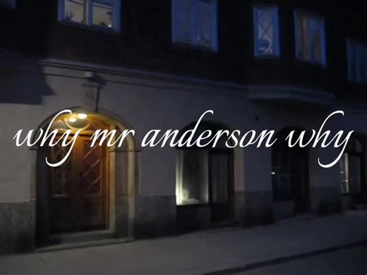 Understanding the Scene: Why Mr. Anderson