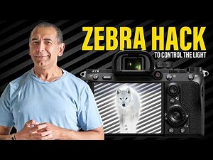 The Secret Zebra Trick for Stunning Wildlife Photos