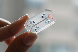 Wyss Institute to Receive up to $37 Million from DARPA to Integrate Multiple Organ-on-Chip Systems to Mimic the Whole Human Body