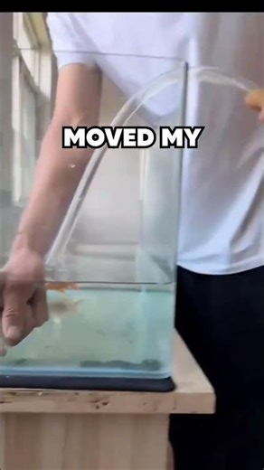 I Found the Easiest Way to Change Aquarium Water | #aquarium #aquariumhack #waterchange