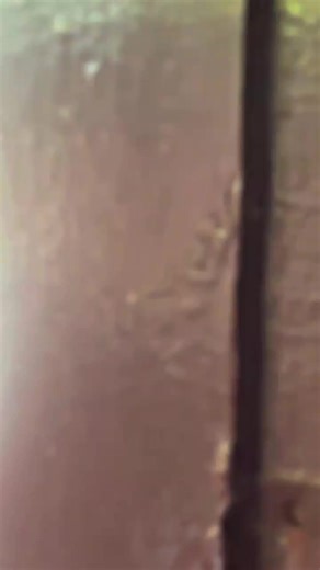 Exploring the TMX 155 Street Bike Concept