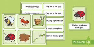 Minibeast-Themed Simple Sentence Matching Activity
