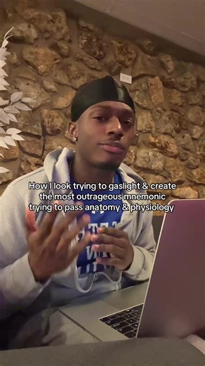 Creative Mnemonics for Anatomy and Physiology Study