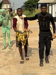 The status hideout security plantain | Oga politician