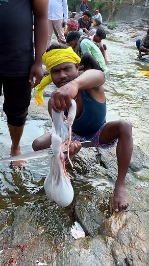 1.9M views · 23K reactions | Rajrappa Mandir Ka Prasad Wala Mutton...