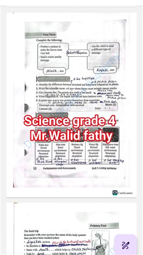 Mr.Walid Fathy -وليد فتحى on Reels