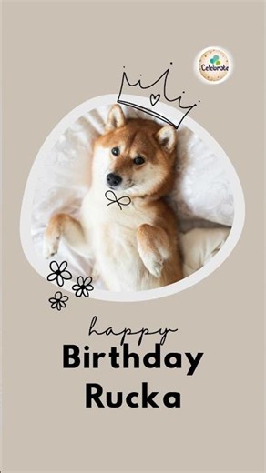 Rucka Birthday please Wish Him, #party #celebration #birthday #usa #usashorts #usatoday