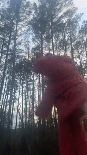 elmo world mr noodle about circus