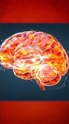 Does Brain Size Equal intelligence? 🧠
