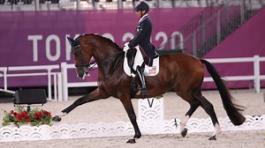 5 things to know about Mopsie the “Rave Horse”