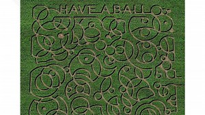 Farm in Pungo shows off brand new corn maze