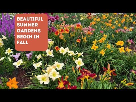 Rework your Fall Garden for a Stunning Landscape Next Summer