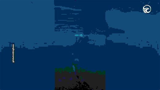 Diving with wild orca whales