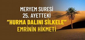 Meryem Suresi 25. Ayetteki “Hurma Dalını Silkele” Emrinin Hikmeti Nedir?