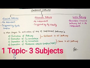 Complement System /part-2