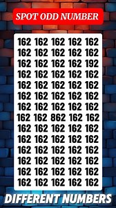 This Quiz Will Test Your Limits – How Far Can You Go? | Quiz Hive
