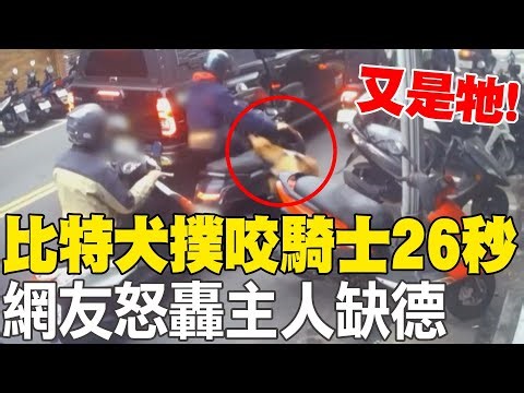 【每日必看】又是牠! 比特犬自開車窗撲咬騎士26秒 主人挨轟 20250317