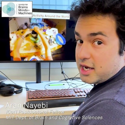 Can robotics help us understand the brain?