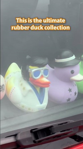 The Ultimate Jeep Duck Collection #jeep #jeeplife #automobile