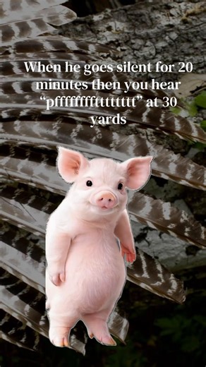 Silent Moments and Unexpected Sounds in Turkey Hunting