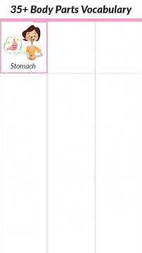 37 Essential Body Parts Vocabulary Every Student Needs