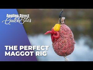 Comment Attacher Le Montage Asticots Parfait - Quickbite de Pêche à la Carpe