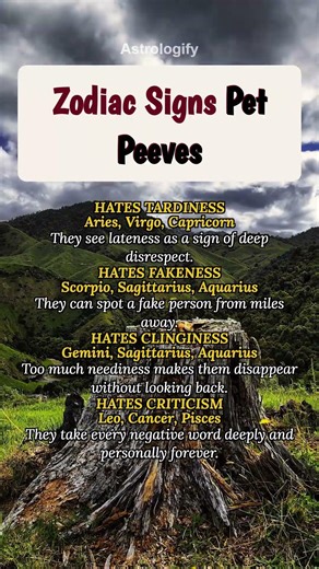 Zodiac Signs Pet Peeves #zodiac #zodiacsigns #astrology #horoscope #tarot #astrologify