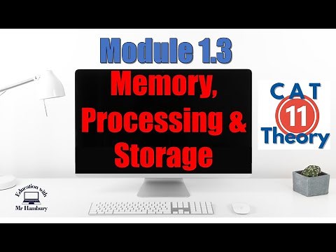 Memory, Processing and Storage | CAT | Grade 11 | *UPDATED*