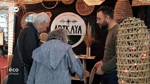 6.5K views · 121 reactions | Cette technique ancienne qui consiste à capturer des poissons à l’aide de feuilles de palme se pratique au large des îles Kerkennah, en Tunisie. La charfia peut-elle perdurer en tant que pratique durable ? Qu’est-ce qui la différencie des méthodes de pêche modernes ? #ecoafrique | DW Afrique | Facebook