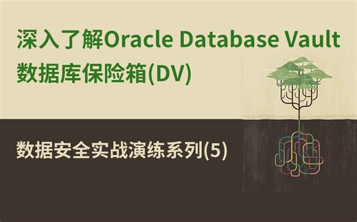 【Oracle 公益课堂】深入了解Oracle数据库保险库(Database Vault)