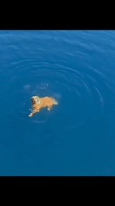 Frst Swimming 🇲🇹😁 | Daily Malta