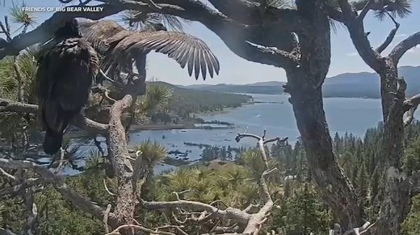 Big Bear development project moves forward over objections