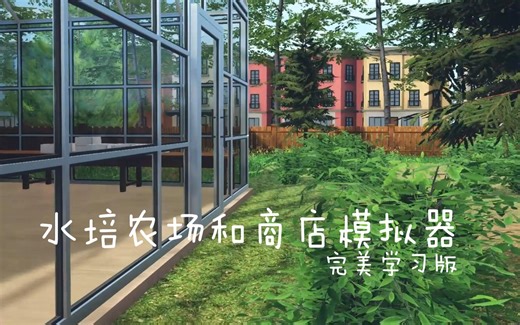 免费白嫖 水培农场和商店模拟器Hydroponics Farm and Store Simulator 一款模拟游戏