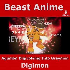Beast Anime! They may be cute furry friends but when they're serious they all have a beast within them!!😼😼👹 | Akibento