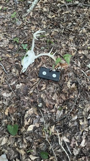 Mystery VHS tape found in the woods! What’s on it????? | Adventures Into History