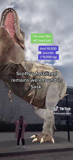 Discover the Biggest T. Rex in Eastend, Saskatchewan