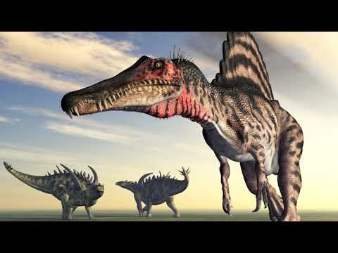 The 12 Types of Dinosaurs