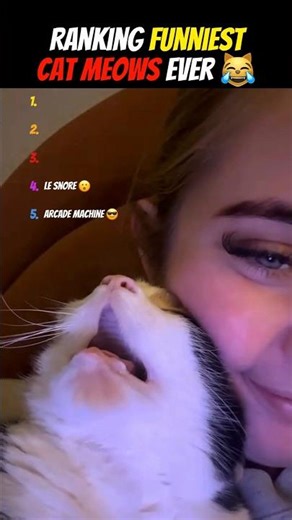 This Cats Meow Is Broken 😭