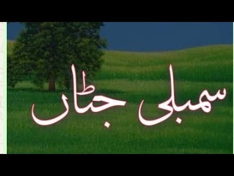 ٹانڈہ سمبلی جٹاں جعلی نوٹ بنانے والی مشین پارٹ ٹو tanda simbly jattan bogus fake currency machine