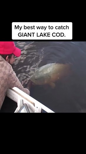 Fishing Australia Official on TikTok