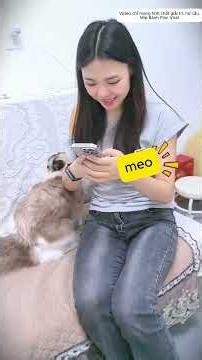 Mèo Chiêu Tài 🐱 Tìm Thấy Trứng Cua Khổng Lồ 😱
