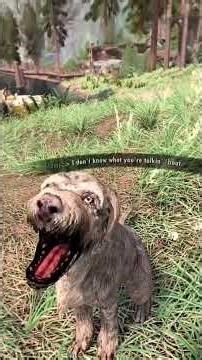 Skyrim VR “The Mantella Mod Is Dangerous!” #shorts #quest3 #skyrimvr #chatgpt