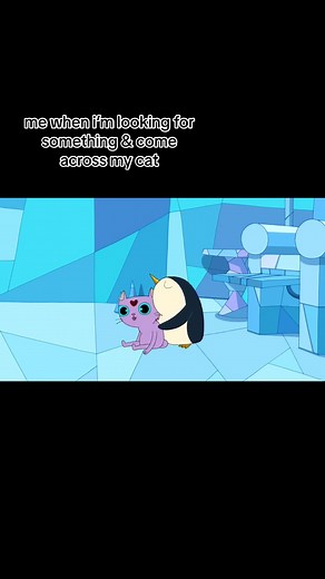 gunther is so cute #adventuretime #fionnaandcake #cartoons #fyp #cats #cartoonnetwork #guntheradventuretime #iceking #simonpetrikov #finnthehuman