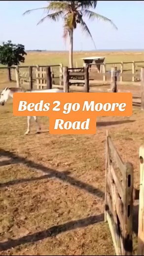 Khaya Mthethwa and David Masinga Beds2Go Advertisement