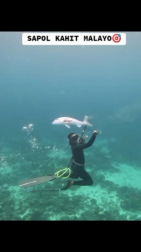 THE BEST SA SINABAW😋🤤 #primitiveislander #spearfishing #palawan #engagement #catchandcook