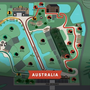 10K views · 260 reactions | We've made some changes to the layout of the zoo to ensure the safety of our animals, guests and staff. All guests will be asked to move in a clockwise direction as this will help achieve the best social distancing practices. Learn more: sydneyzoo.com/covid-19 Thanks for your support during this period. We'll continue to update you as more information comes to hand. | Sydney Zoo | Facebook