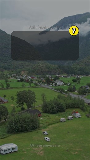 131K views · 2.6K reactions | General Knowledge Quiz Game. Interesting General Knowledge Facts You Should Know. Follow us for more fun quizzes and interesting facts. . . #BranyPedia #facts #triviachallenge #interestingfacts #quiz #quizvideos #funfacts #QuizTime #TriviaTime #didyouknowfacts #DidYouKnow #moreyouknow #awesomefacts #triviaquiz #quizgame | Brainypedia | Facebook