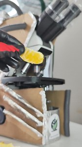 93K views · 1.2K reactions | Taking an Orange under the microscope 類 | Micro Zoom Guy | Facebook